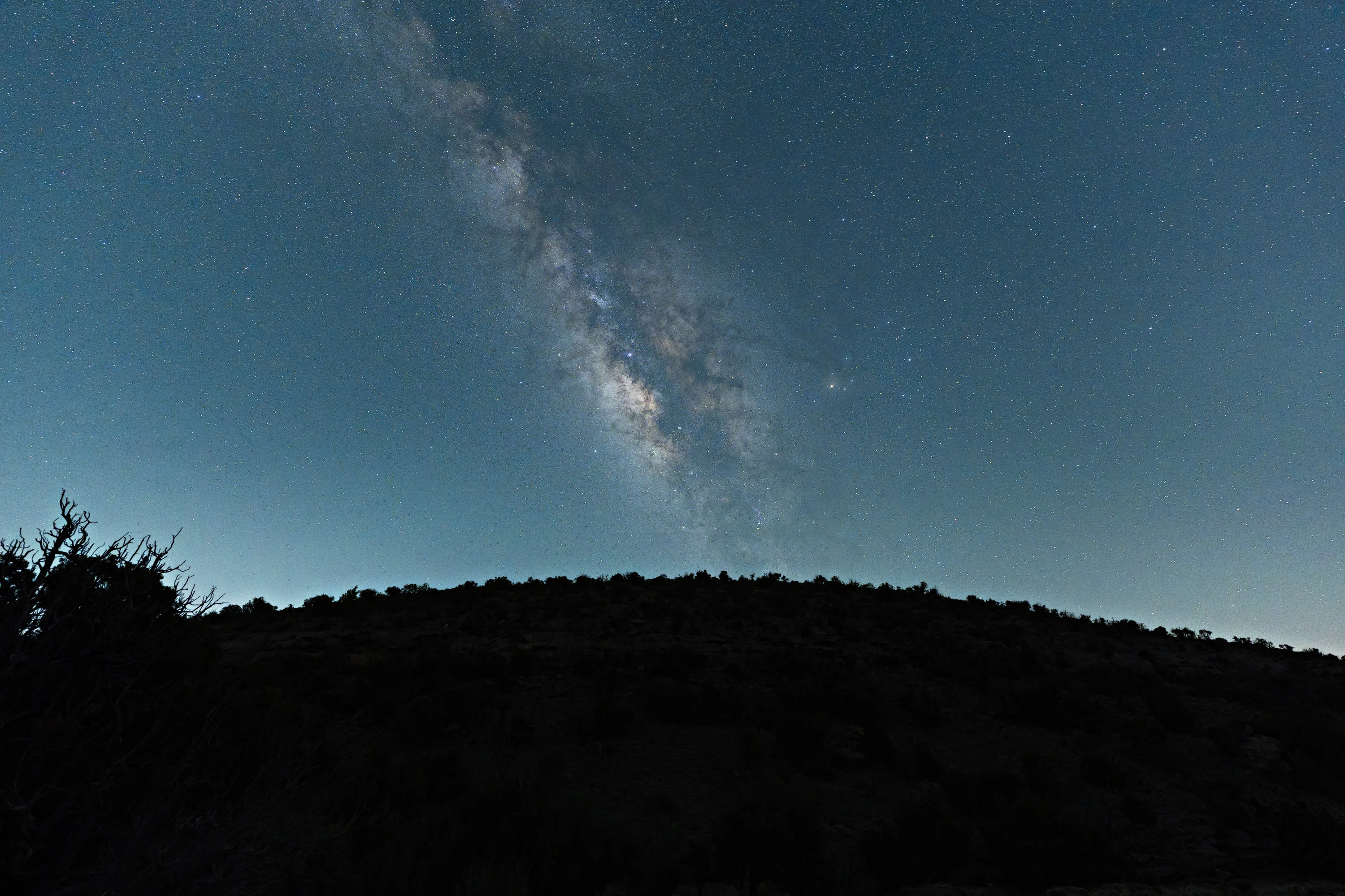 The Milky Way core crossing a blue-green night sky on a diagonal, above a dark scrub-covered ridge, with a tree silhouetted on the left